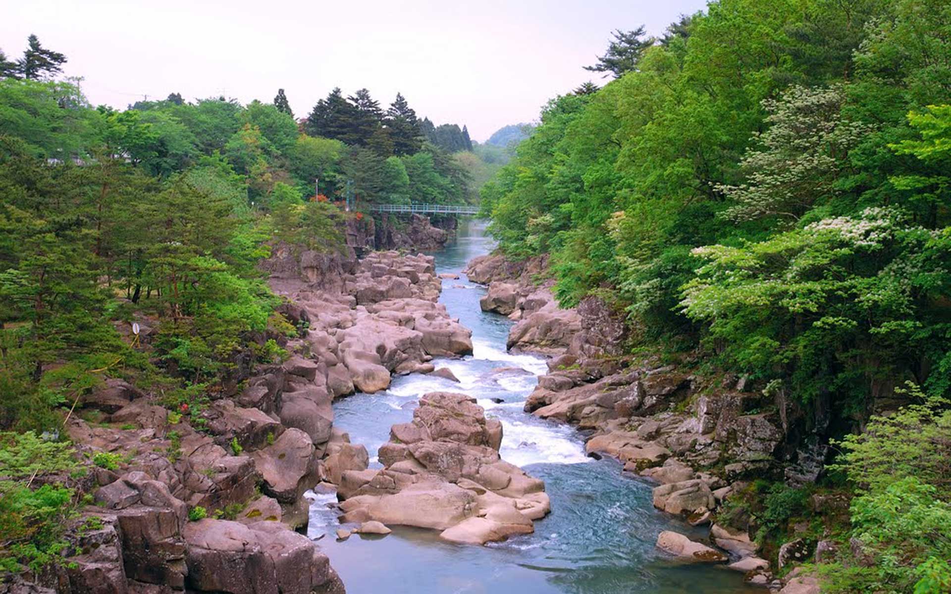 美しい自然を大切にし、地域社会に貢献する会社を目指します。